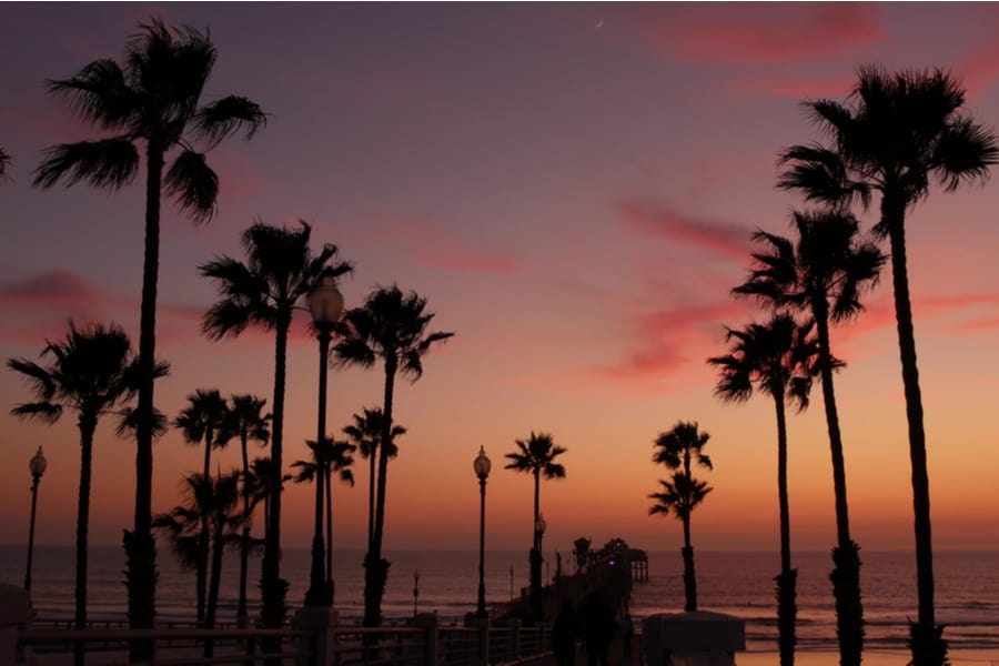 Dual Diagnosis Treatment in Los Angeles - palms at the beach at sunset